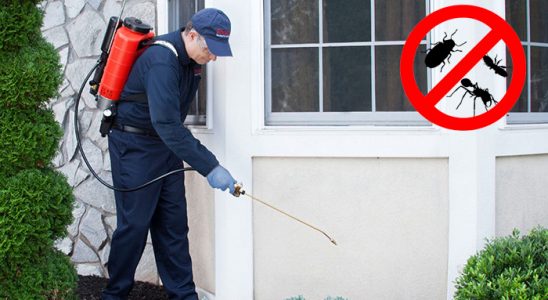 Güzelbahçe Akrep İlaçlama böcek ilaçlama ve haşere kontrolü — ilaclama-tr.com
